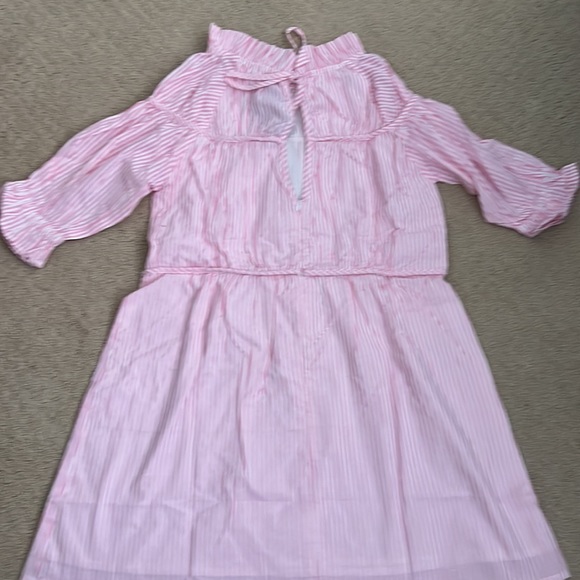 NWT Elizabeth Wilson Designs Liesel Dress Pink Stripe XS - Picture 4 of 4
